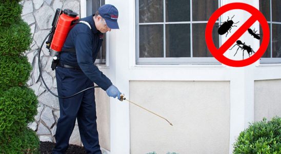 Keşan Kene İlaçlama böcek ilaçlama ve haşere kontrolü — ilaclama-tr.com